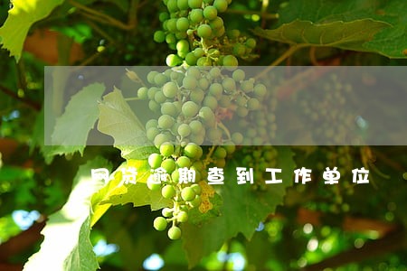 网贷逾期查到工作单位 网贷逾期查到工作单位