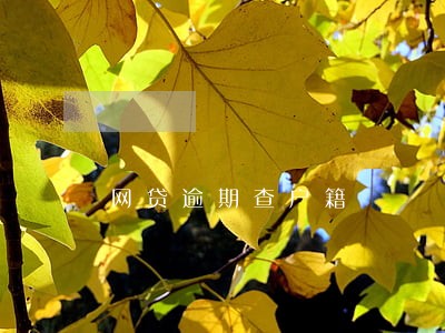 网贷逾期查户籍 网贷逾期查户籍