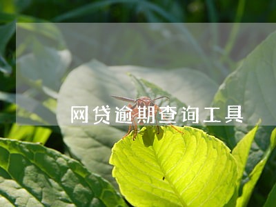 网贷逾期查询工具 网贷逾期查询工具
