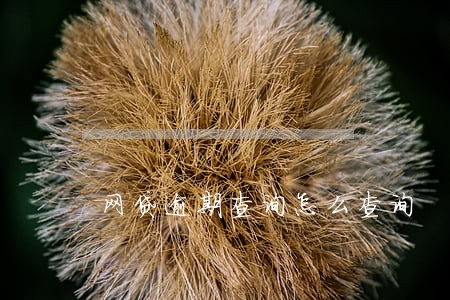 网贷逾期查询怎么查询 网贷逾期查询怎么查询
