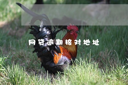 网贷逾期核对地址 网贷逾期核对地址