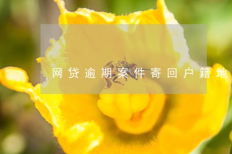 网贷逾期案件寄回户籍地是真的吗 网贷逾期案件寄回户籍地是真的吗