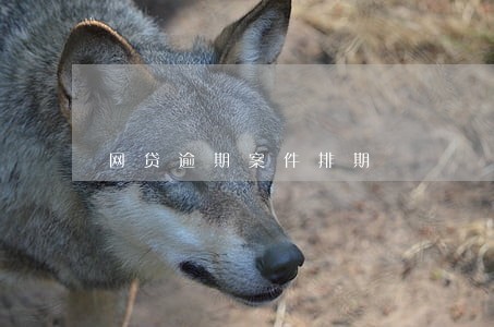 网贷逾期案件排期 网贷逾期案件排期