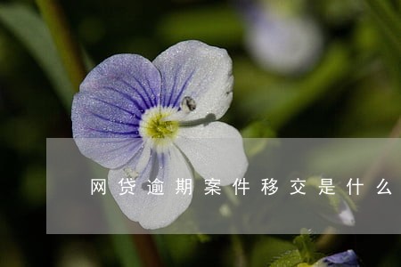 网贷逾期案件移交是什么意思