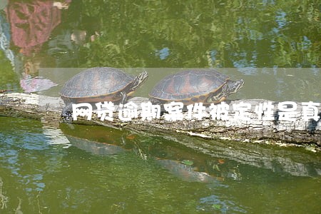 网贷逾期案件被定性是真是假 网贷逾期案件被定性是真是假