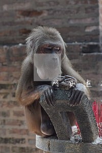 网贷逾期案例教训 网贷逾期案例教训