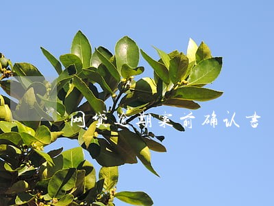网贷逾期案前确认书 网贷逾期案前确认书