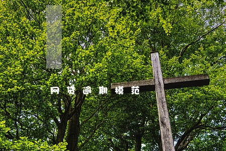 网贷逾期模范 网贷逾期模范