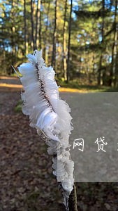 网贷逾期欠几亿