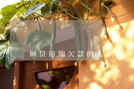 网贷逾期欠款的人多吗 网贷逾期欠款的人多吗