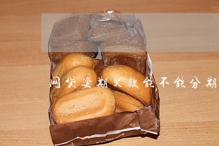 网贷逾期欠款能不能分期