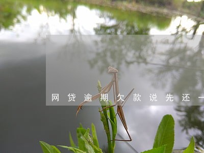 网贷逾期欠款说先还一部分 网贷逾期欠款说先还一部分