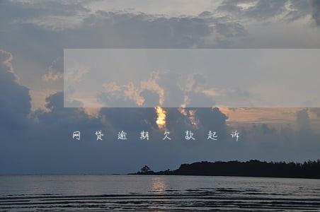 网贷逾期欠款起诉