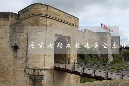 网贷逾期次数过多会怎样 网贷逾期次数过多会怎样