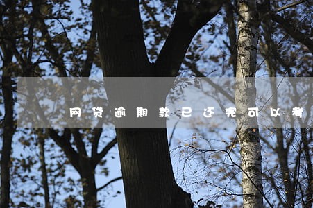 网贷逾期款已还完可以考公务员吗