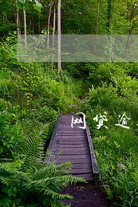 网贷逾期正好90天什么后果 网贷逾期正好90天什么后果