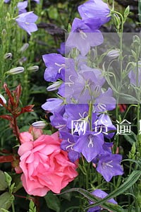 网贷逾期正常多久会被起诉 网贷逾期正常多久会被起诉