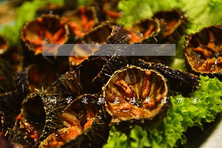 网贷逾期正确处理方案