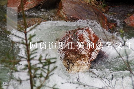 网贷逾期正确的法务文件 网贷逾期正确的法务文件