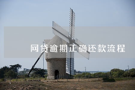 网贷逾期正确还款流程 网贷逾期正确还款流程