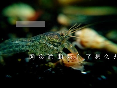 网贷逾期死亡了怎么办 网贷逾期死亡了怎么办