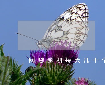 网贷逾期每天几十个催款电话 网贷逾期每天几十个催款电话