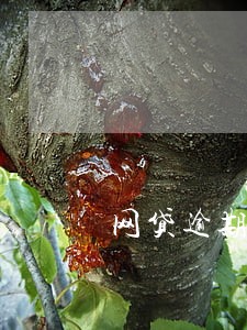 网贷逾期每天利息要300 网贷逾期每天利息要300