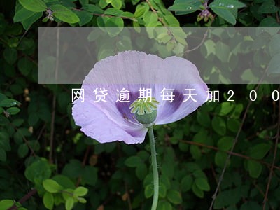 网贷逾期每天加200 网贷逾期每天加200