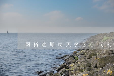 网贷逾期每天多20元利息怎么办 网贷逾期每天多20元利息怎么办