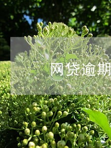 网贷逾期每天系统都会发短信 网贷逾期每天系统都会发短信