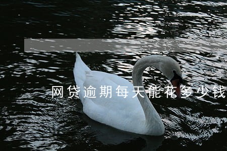网贷逾期每天能花多少钱 网贷逾期每天能花多少钱