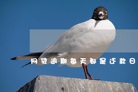 网贷逾期每天都是还款日 网贷逾期每天都是还款日