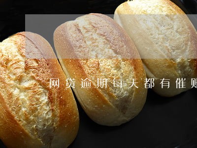 网贷逾期每天都有催账电话