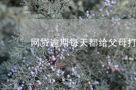 网贷逾期每天都给父母打电话 网贷逾期每天都给父母打电话