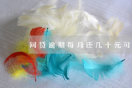 网贷逾期每月还几十元可以吗 网贷逾期每月还几十元可以吗