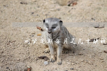 网贷逾期每月还几十块钱可以吗 网贷逾期每月还几十块钱可以吗