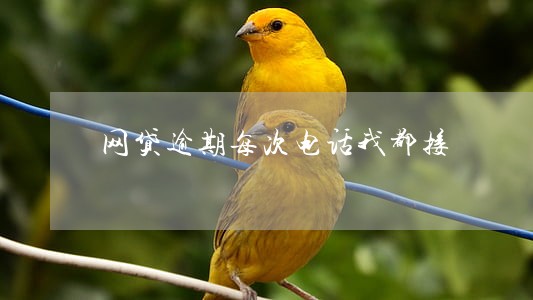 网贷逾期每次电话我都接