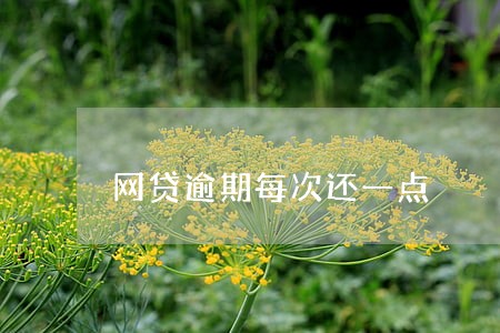 网贷逾期每次还一点