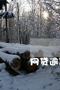 网贷逾期民事档案有什么影响 网贷逾期民事档案有什么影响