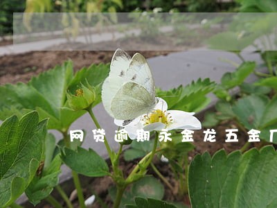 网贷逾期永金龙五金厂 网贷逾期永金龙五金厂
