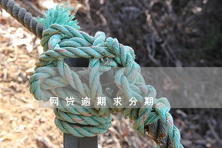 网贷逾期求分期 网贷逾期求分期