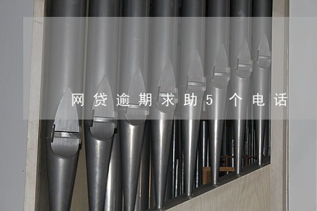 网贷逾期求助5个电话 网贷逾期求助5个电话