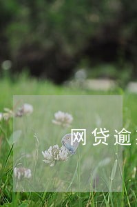 网贷逾期求助中心 网贷逾期求助中心