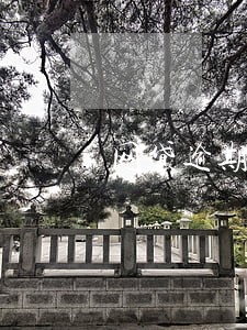 网贷逾期求助警察帮忙还款 网贷逾期求助警察帮忙还款