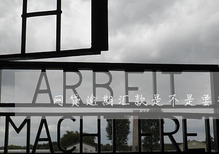 网贷逾期汇款是不是要补偿利息 网贷逾期汇款是不是要补偿利息