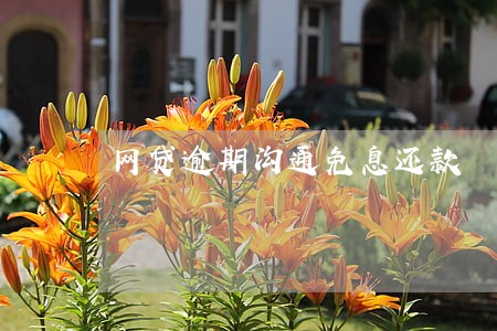 网贷逾期沟通免息还款 网贷逾期沟通免息还款