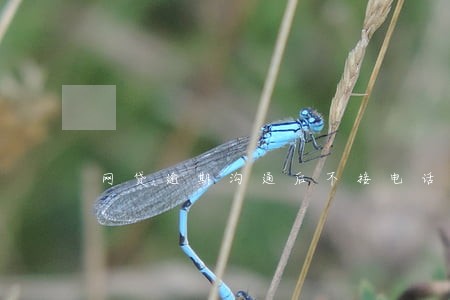 网贷逾期沟通后不接电话 网贷逾期沟通后不接电话