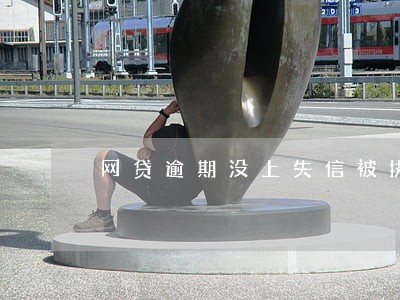 网贷逾期没上失信被执行人