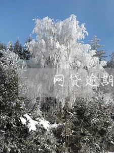 网贷逾期没上征信钱还用还吗 网贷逾期没上征信钱还用还吗