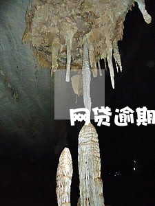 网贷逾期没人催收 网贷逾期没人催收